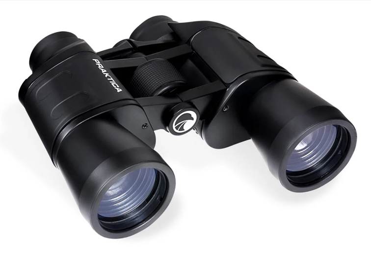 Falcon 8x40 Binocular - 2